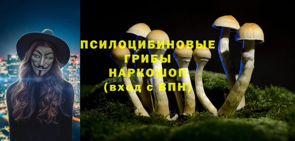 ECSTASY Абдулино