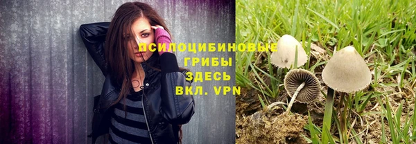 кристаллы Абаза