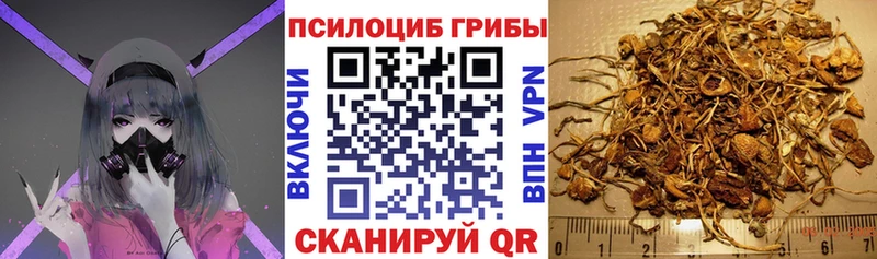 Псилоцибиновые грибы Psilocybine cubensis как найти закладки сайты даркнета клад Ярославль