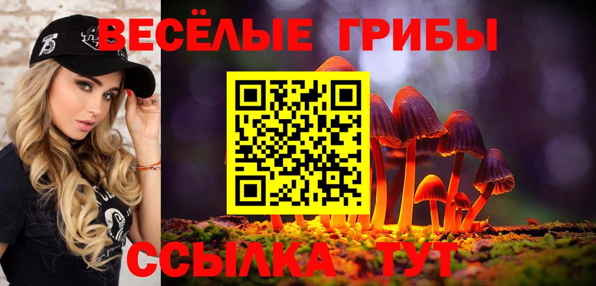 Псилоцибиновые грибы Psilocybine cubensis  Вход с VPN  Ярославль 