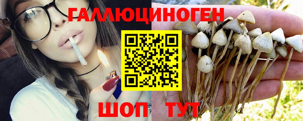 Галлюциногенные грибы GOLDEN TEACHER Ярославль