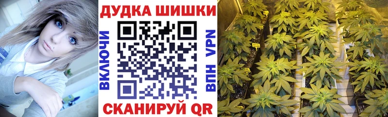 цена наркотик Ярославль Конопля планчик